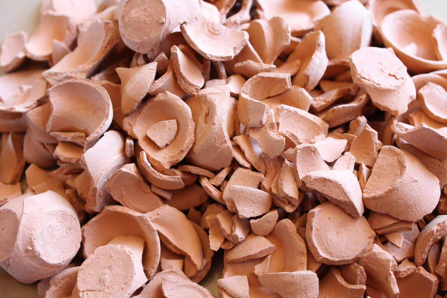 Mexican Clay Pot Chips (Must Try)