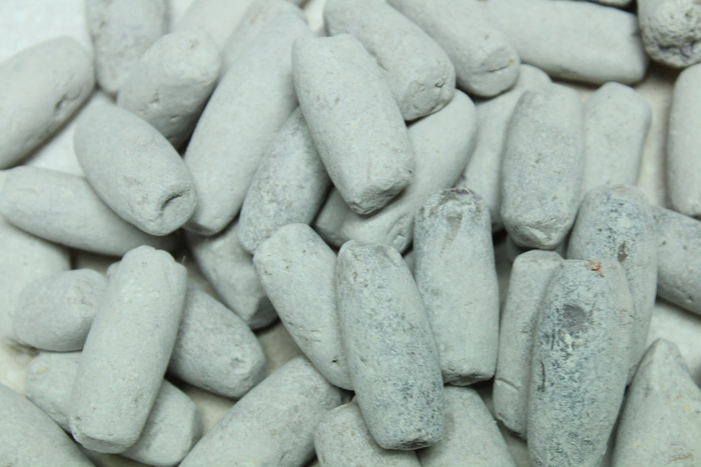 Edible roasted AYILO (Medium Size)