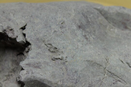 Edible Blue Glory Clay == 200 GM (Limited stock - not for free sample)