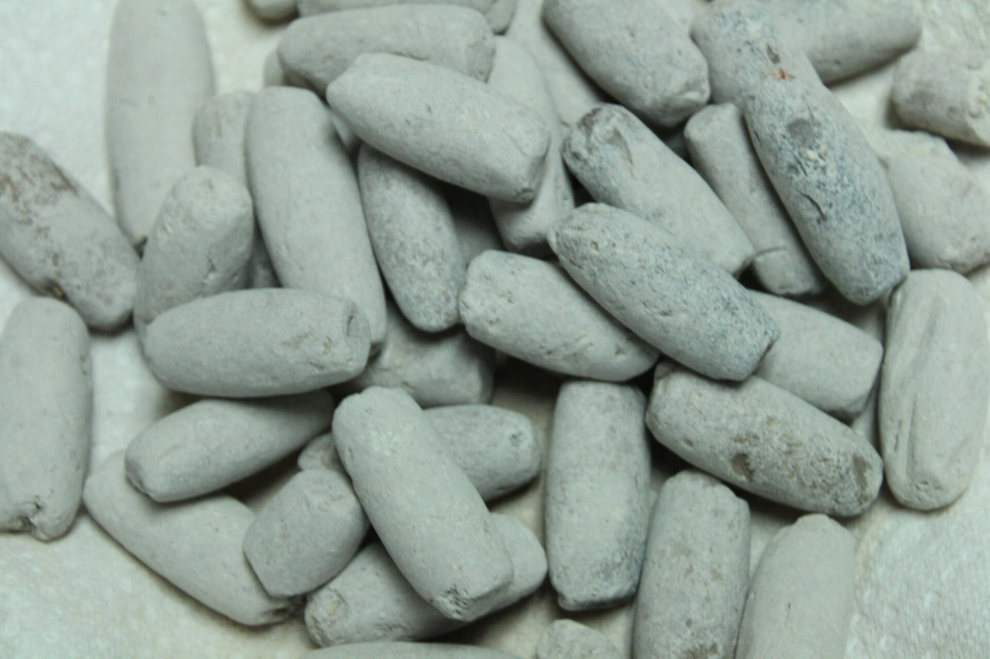 Edible roasted AYILO (Medium Size)