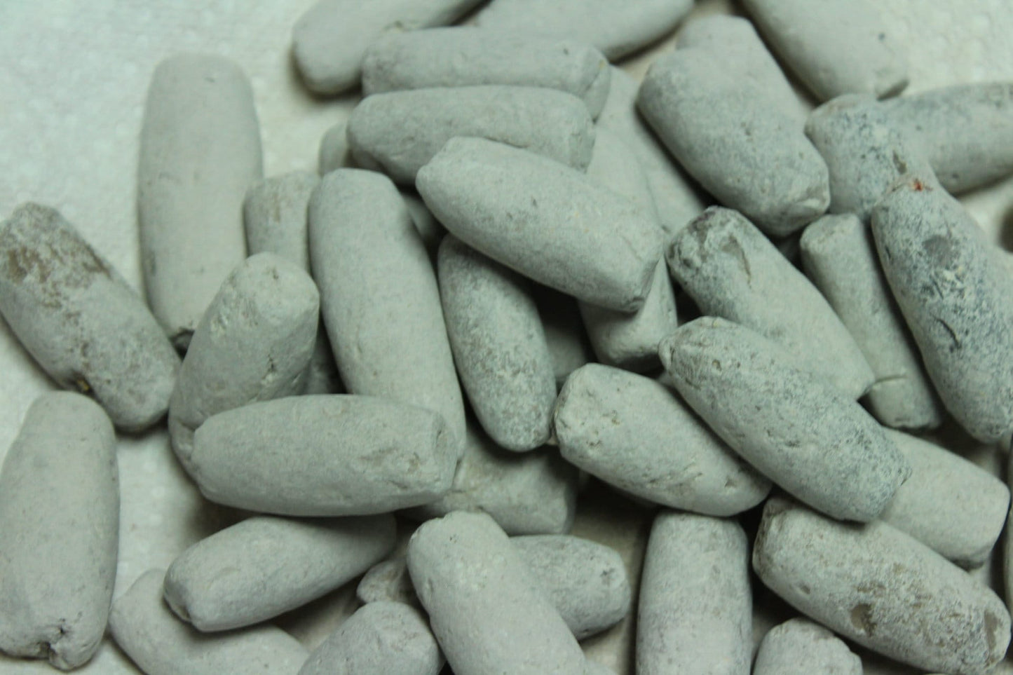 Edible roasted AYILO (Medium Size)