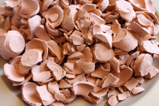 Mexican Clay Pot Chips (Must Try)