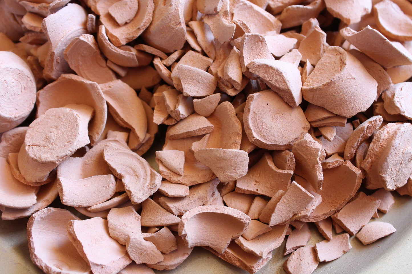 Mexican Clay Pot Chips (Must Try)