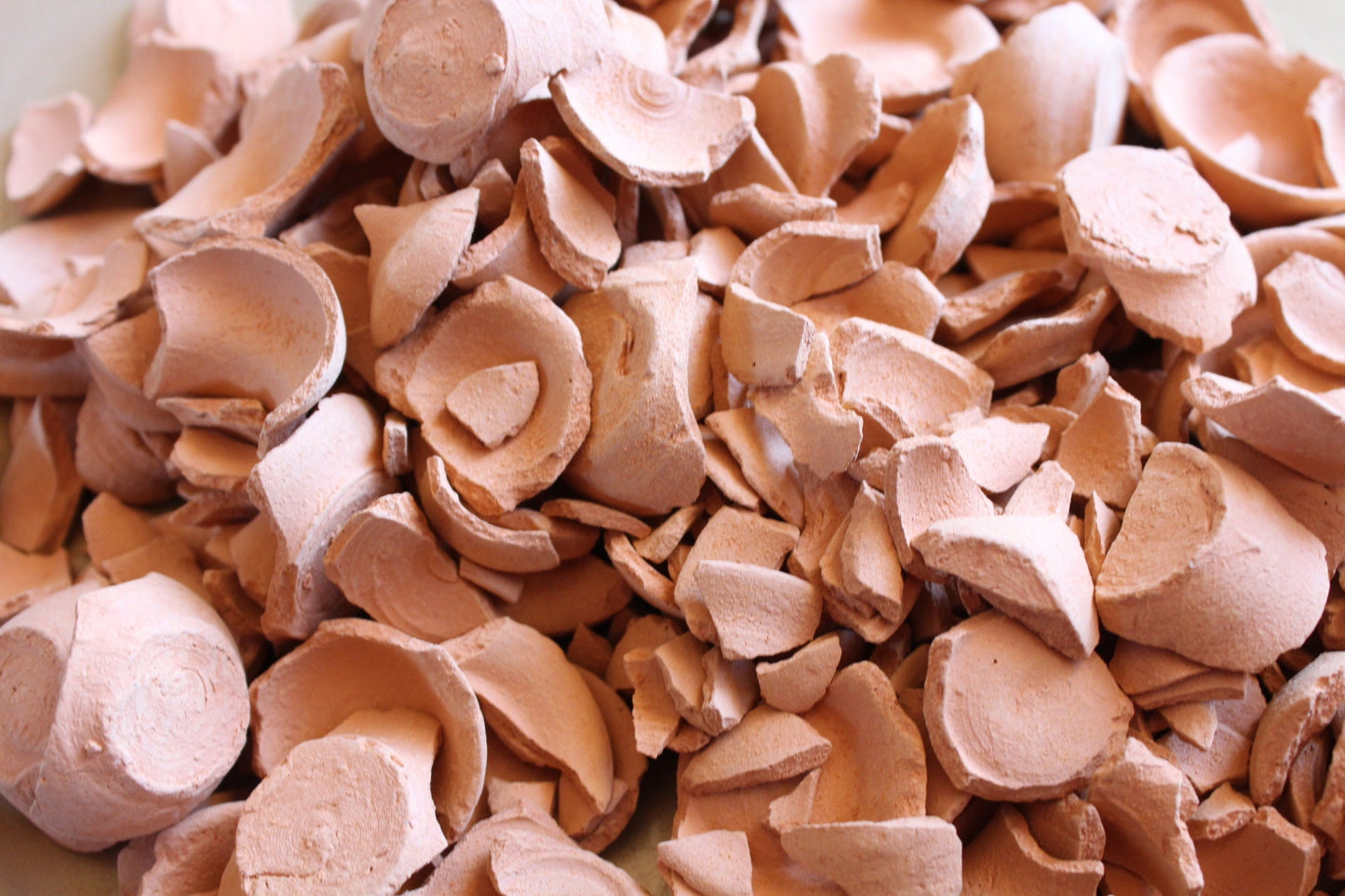 Mexican Clay Pot Chips (Must Try)
