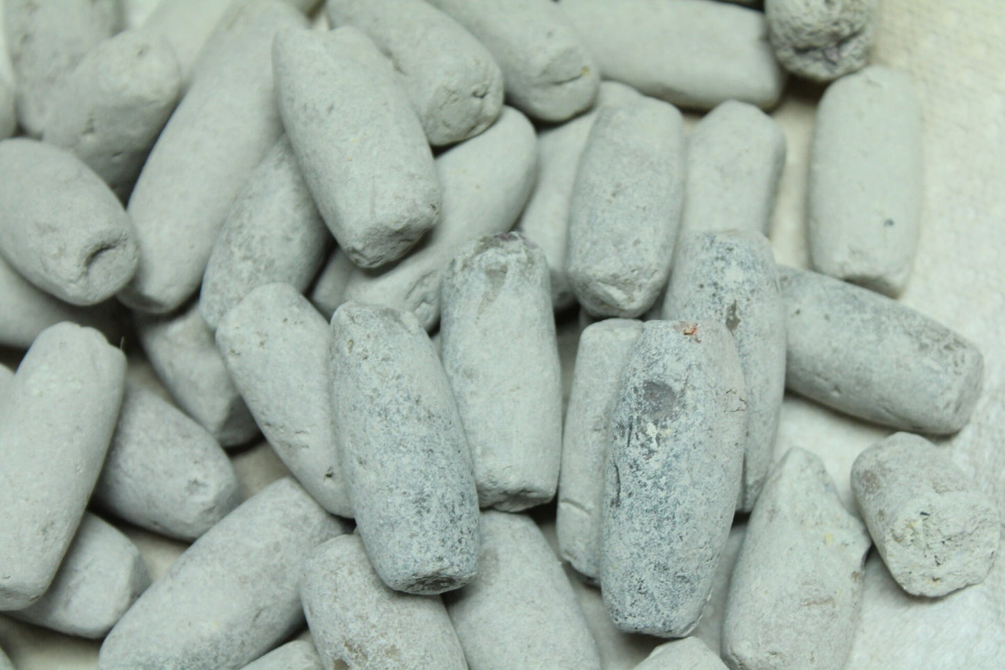 Edible roasted AYILO (Medium Size)