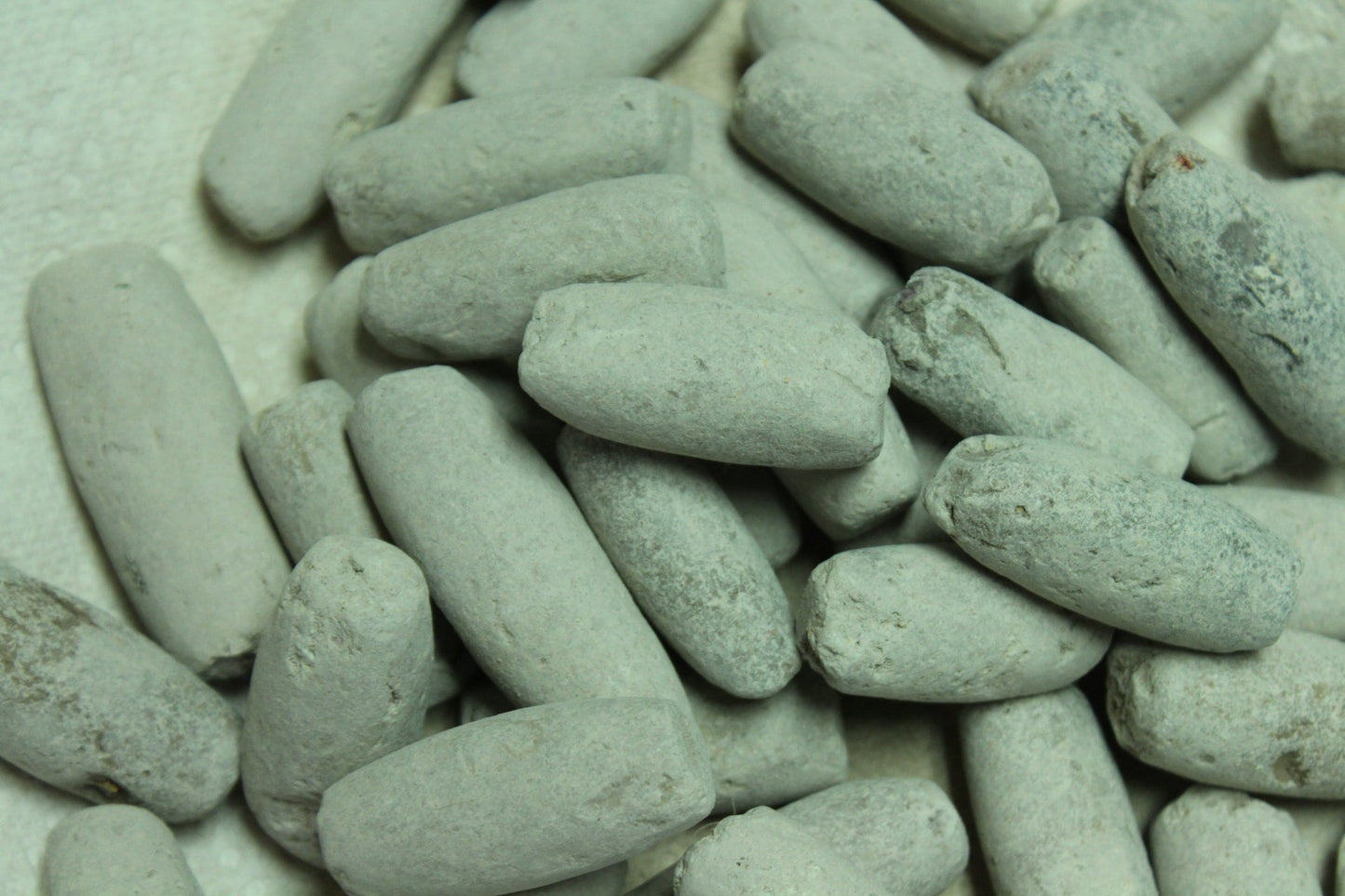 Edible roasted AYILO (Medium Size)