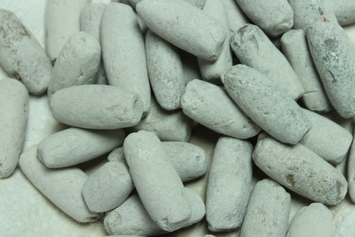 Edible roasted AYILO (Medium Size)