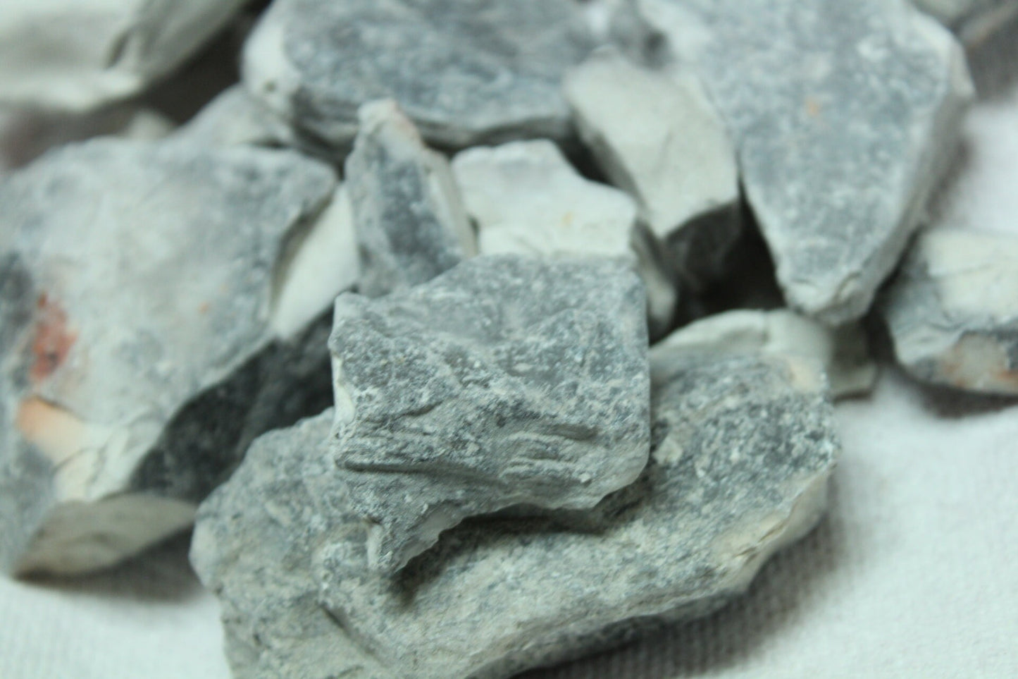 African Grey Roasted from Togo (Popular African Clay)