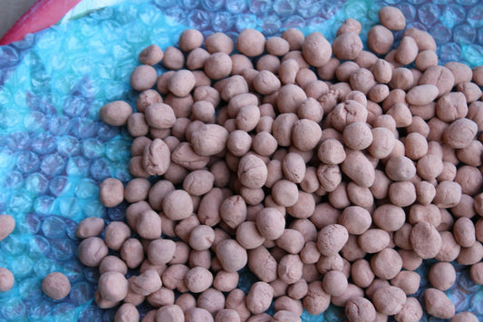 Mexican Treat - Peanuts - 200 GM